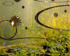 Earthly Matters: Wetlands, 2009, handmade photo collage on panel, 8 1/2 x 8 1/2", ed. 1/10