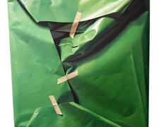 An Area for Recognition of Green, 2012, oil on canvas, 27 1/2 x 24"