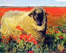 Ewe in a Poppy Field, 2008, acrylic on paper, 6 1/2 x 10 1/2"