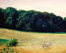 A Field Before Damascus, 2004, acrylic on paper, 10 x 18"