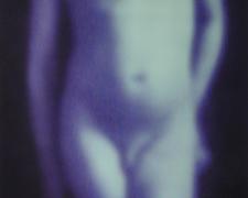 Reverie No. 11 2001 Silver dye bleach photograph, ed. 3/10 17 3/4 x 13 3/4"