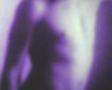 Reverie No. 21 2001 Silver dye bleach photograph, ed. 2/10 17 3/4 x 13 3/4"