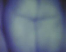 Reverie No. 3 2001 Silver dye bleach photograph, ed. 2/10 17 5/8 x 13 5/8"