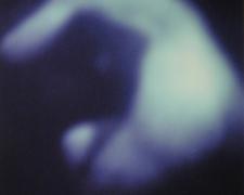 Reverie No. 7 2001 Silver dye bleach photograph, ed. 2/10 17 7/8 x 13 7/8"