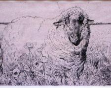 Gold Sheep Among Red Poppies - Study, 2008, pen and ink, acrylic wash, 4 1/2 x 7"