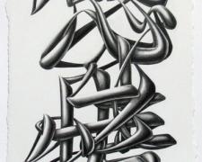 Thoughts and Emotions, 2011, graphite on paper, 14 1/2 x 7 1/2"