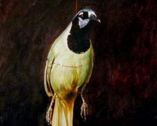 A Green Jay Suspended by a Scarlet Cord, 2006, acrylic on paper, i.s. 12 3/4 x 10"