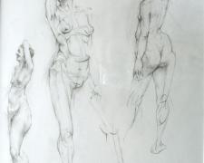 Model in 3 Views 2005 Graphite on paper I.S. 14 x 10 1/2"