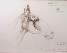 Synthetic Stubbs, 2008, red chalk and graphite on paper, i.s. 7 3/4 x 20 7/8