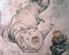 Systems for Budding New Universes, 2009, chalk, graphite, and acrylic on panel, 21 x 14 1/2 x 2 3/4"