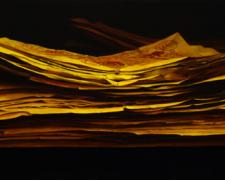 Last Emperor, 2006, oil on canvas, 29 X 54"