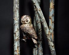 Northern Pygmy Owl 2008 Blown/off-hand sculpted glass 34 x 12 x 11"