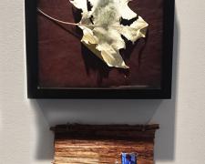 Peace Be Still, 2015, mixed media: intaglio, leaf, and video, 10 x 10" / video 6 x 8"