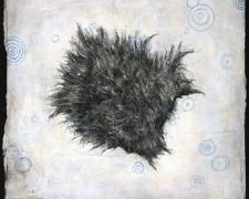 Fur 2009 charcoal and acrylic on paper 10 x 10"
