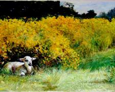 Lamb Among Marigolds, 2005, acrylic on paper, 16 x 22"