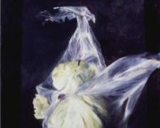 "Suspended Lettuce" (detail), 1999, acrylic on paper, i.s. 16 3/4 x 12 3/4" / f.s. 34 3/4 x 28 7/8"