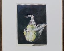 "Suspended Lettuce", 1999, acrylic on paper, i.s. 16 3/4 x 12 3/4" / f.s. 34 3/4 x 28 7/8"