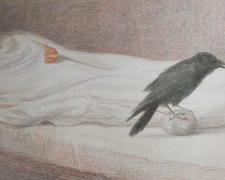Morphus: study, 2016, crayon on paper, 18 1/2 x 40 3/8"