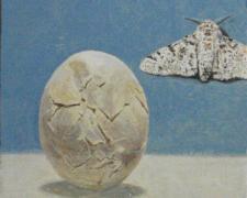 Peppered Moth, 2016,  acrylic on panel, 4 x 4 1/4” 