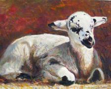 Pied Lamb Among Poppies, 2009, acrylic on paper, i.s. 6 1/8 x 8 5/8"