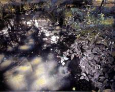 Pond Study #5 2004 Mixed media on photograph 17 x 22"