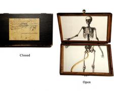 Baculum for a Dead Man, 2007, box, digital collage, baculum, print, acrylic, glass, 5 x 9 x 1"