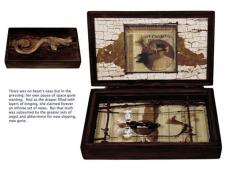 Emily Dickinson's Herbarium, 2011, assemblage, 6 x 9 1/2 x 2"