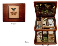 Little Museum for Emily D, 2007, wood construction, glass, vials, lace, books, net, seahorses, butterfly prints, feathers, hair, lens, twigs, gauge, 14 x 8 x 8"