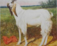 Scape Goat, 2016, acrylic on gessoed paper, 8 1/2 x 8 1/2” 