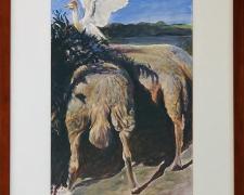 "Sheep in Shade", 1996, acrylic on paper, i.s. 16 x 10"/ f.s. 23 1/4 x 17 1/4"