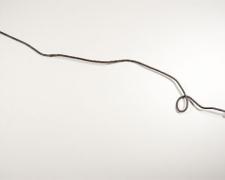 Entourage, 2010, steel rod, steel ball, photographic prints, 10 x 81 x 4"