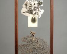 Slide 2007 Assemblage - glass cabinet door, sea fan, photographic postcard, book illustrations, steel pegs 30 1/8 x 14 x 3"