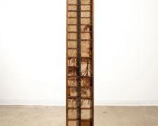 Vestigial Memory, 2009, wooden type tray, book and rotogravure newspaper images, steel, 74 1/2 x 21 x 9 1/4"