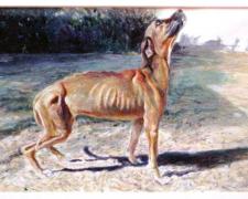 A Starving Dog Staring at the Moon, 2008, acrylic on panel, 6 3/4 x 10 1/2"