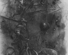 Bait, 2008, charcoal on paper, 24 x 18"