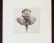 "Tondo Schema for Hanging Turkey", 2008, pen and ink on paper, i.s. 6 x 6" / f.s. 15 x 13 3/8"