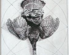 Tondo Schema for Hanging Turkey (detail), 2008, pen and ink on paper, i.s. 6 x 6" / f.s. 15 x 13 3/8"