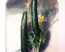 Two Cucumbers, 1994, acrylic on paper, 13 1/2 x 9"