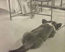 Piranha Loaf Siesta, 2022, graphite on paper, s.s. 5 1/2 x 8 1/2"/f.s. 11 1/2 x 14 1/2"