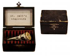 St. Gall's Blackbird, 2015, assemblage, 2 x 3 x 2"