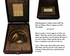 "Old Humphrey's Observation #285 On How to Make a Horse Appear as if He Was Blind", assemblage, 9 x 7 1/2 x  3 1/2"