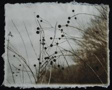Winter Walk: Lyric, 2010, intaglio, i.s. 14 1/4 x 18 1/2"