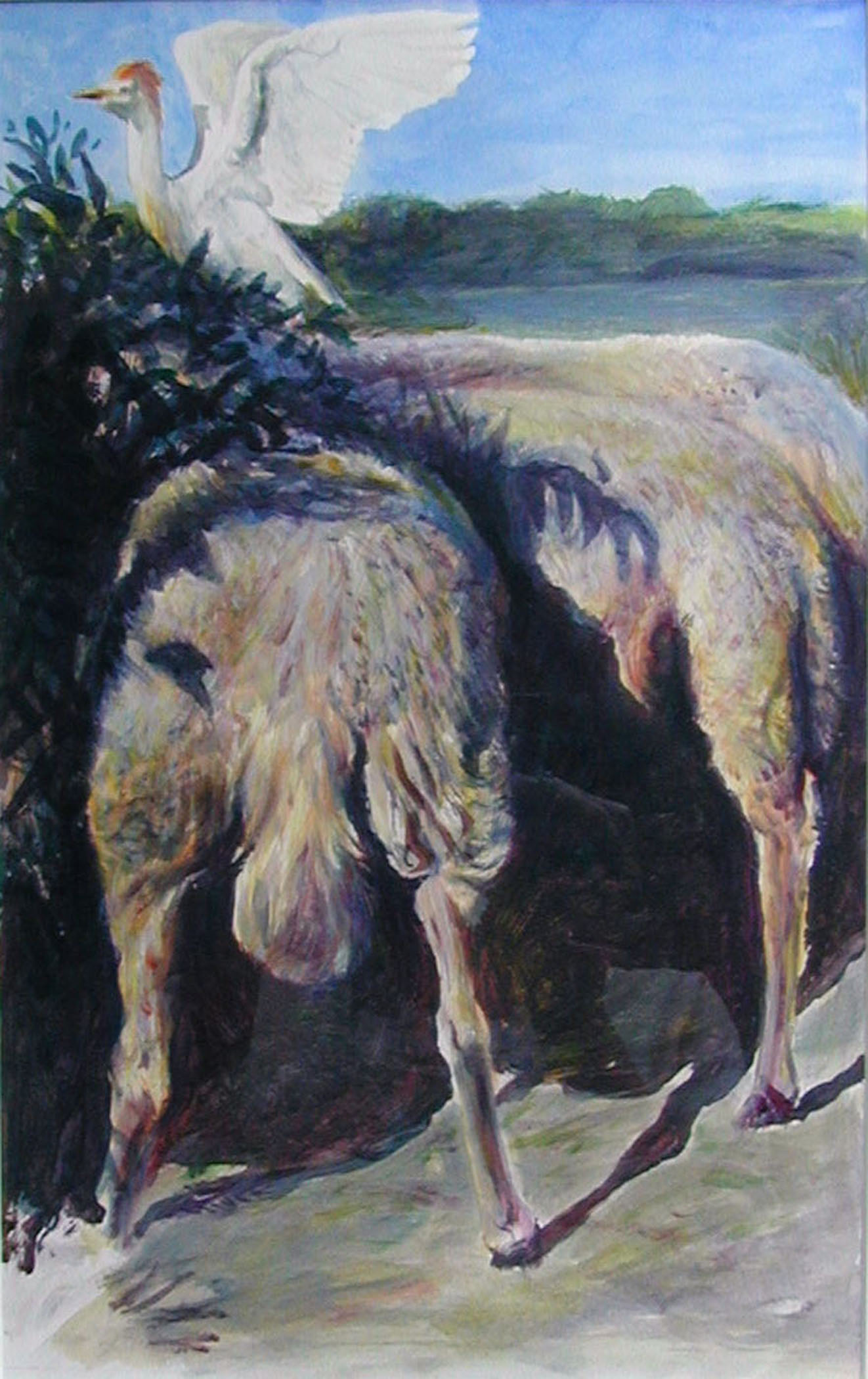 "Sheep in Shade" (detail), 1996, acrylic on paper, i.s. 16 x 10"/ f.s. 23 1/4 x 17 1/4"