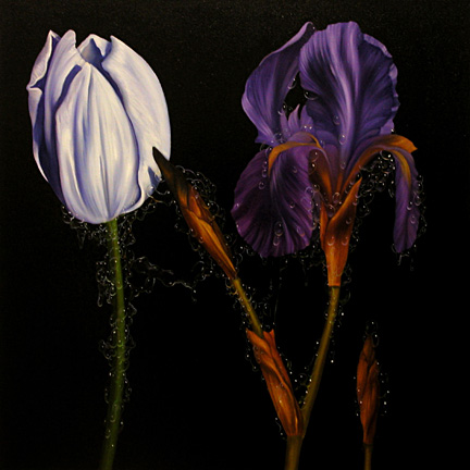 The Tulip and the Iris 2004 Oil on canvas 42 x 42"