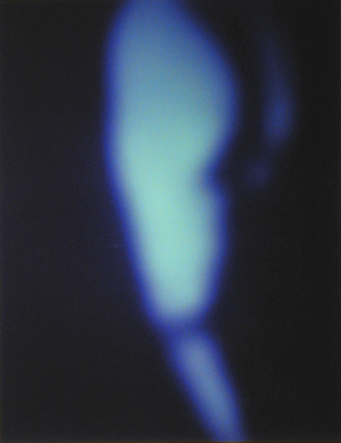 Reverie No. 25 2002 Silver dye bleach photograph, ed. 1/10 17 1/2 x 13 1/2"