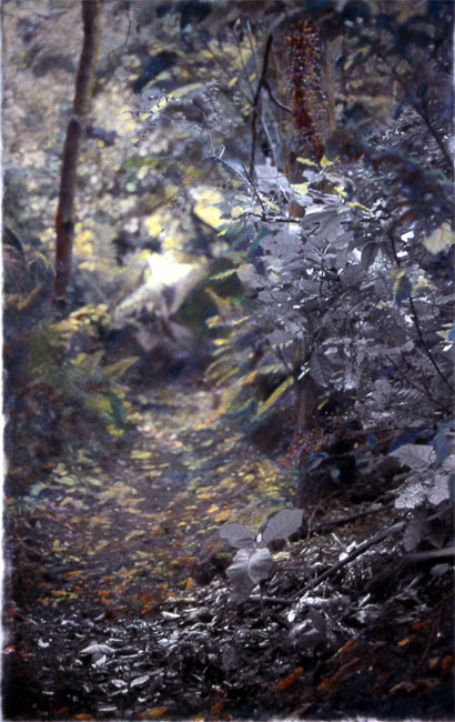 Path with Vermillion Leaves 2005 Mixed media on photograph 34 x 23"