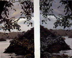 Second Glance 2004 Mixed media on photograph 34 x 24"