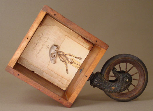 The Short Life of Karl Heck 2006 Assemblage - wood box, piano wheel, book pages, squirrel skull 11 1/4 x 16 1/2 x 5 3/4"